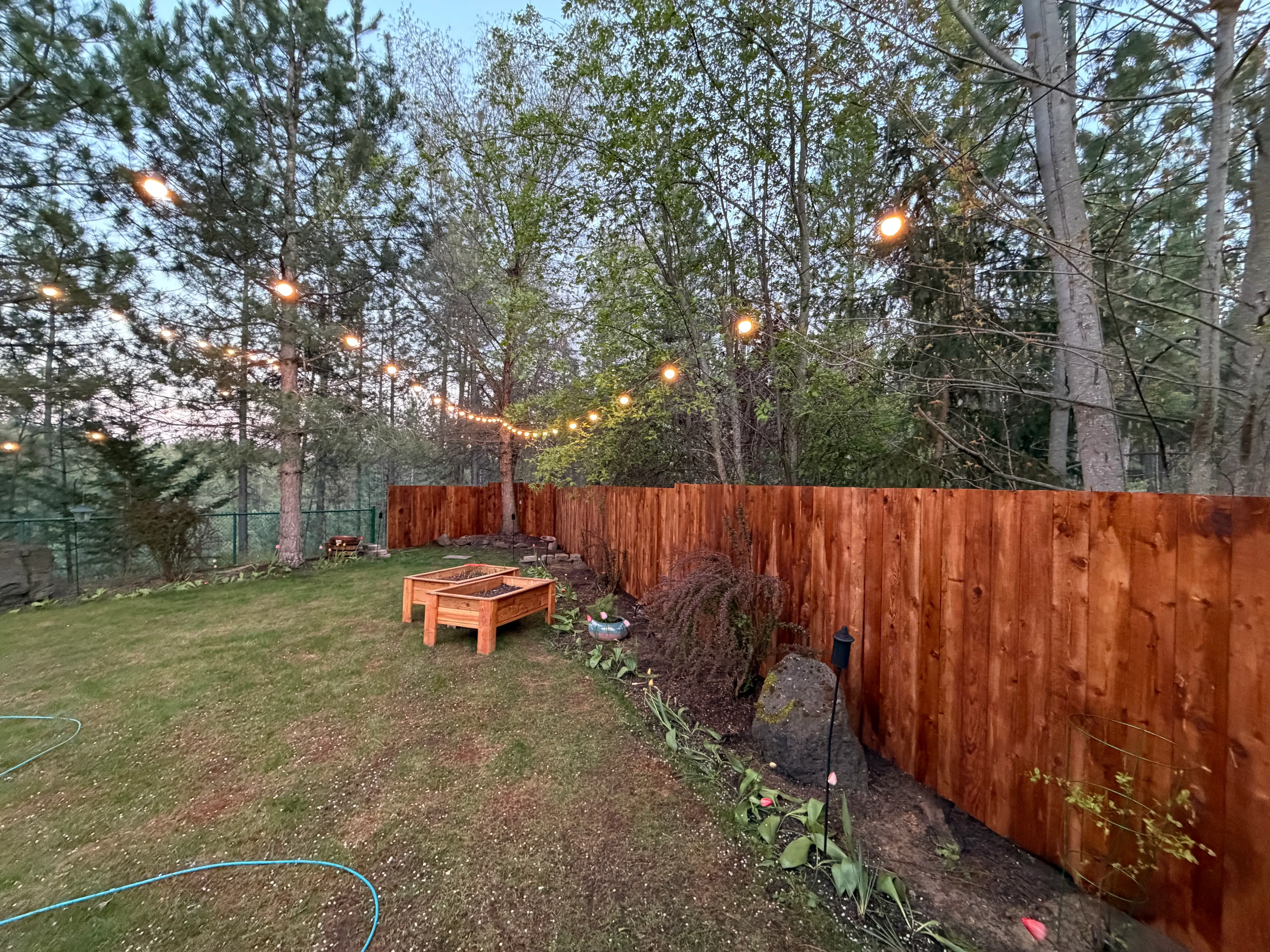 Cedar wood privacy fence with overhead string lights in wooded backyard setting